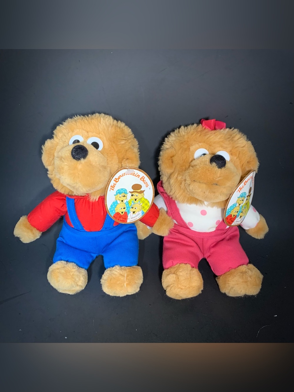 The Berenstain Bears Brother and Sister Bear 1998 Plush 9" Stuffed Animal Lot